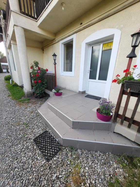 une porte d'entrée d'une maison avec deux plantes en pot dans l'établissement Betty Panzio, à Miercurea-Ciuc