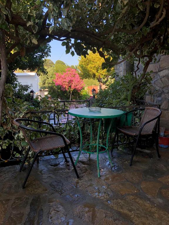 a green table and chairs sitting under a tree at Traditional Rooms Elena in Astirákion