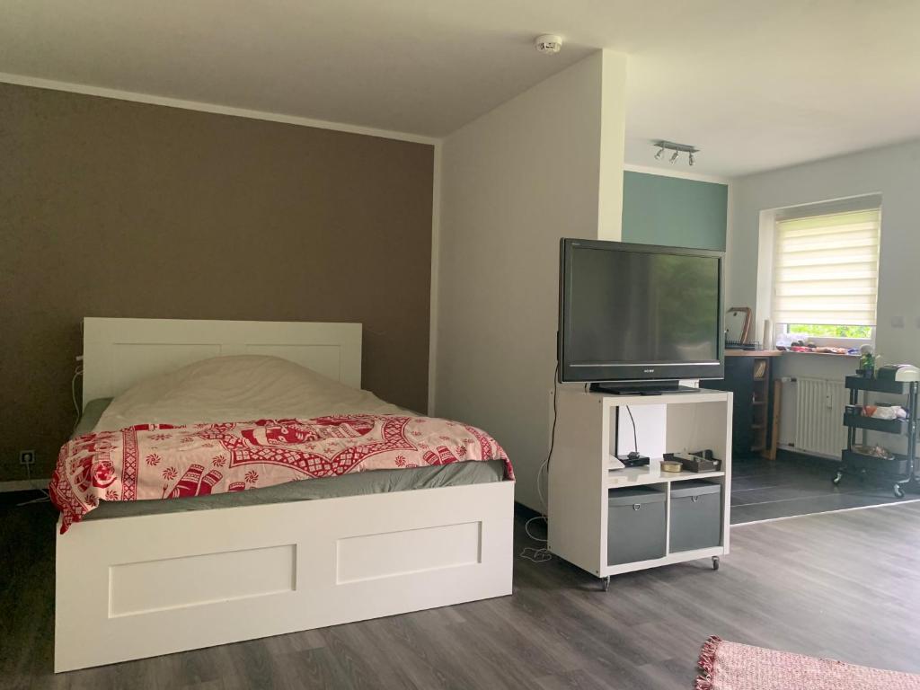 Schlafzimmer mit einem Bett und einem Flachbild-TV in der Unterkunft Liebevolles Appartement-Erholung pur in Bad Sachsa in Bad Sachsa
