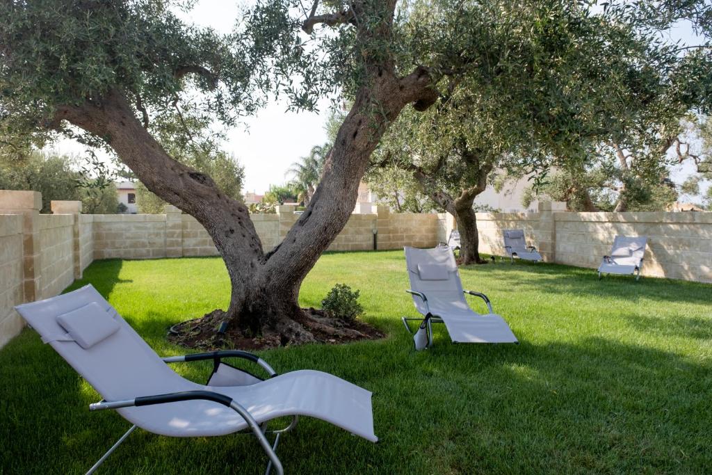 Zwei weiße Stühle stehen im Gras unter einem Baum in der Unterkunft U Ceccenate in Montalbano