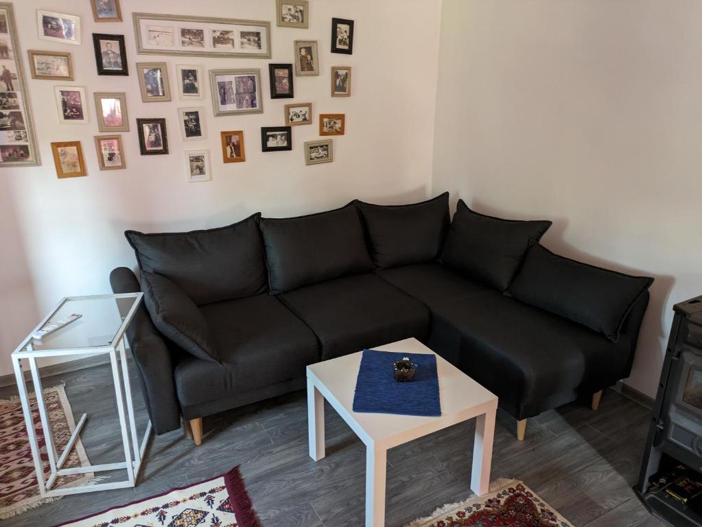 Posezení v ubytování Stara etno kuća Radonjić