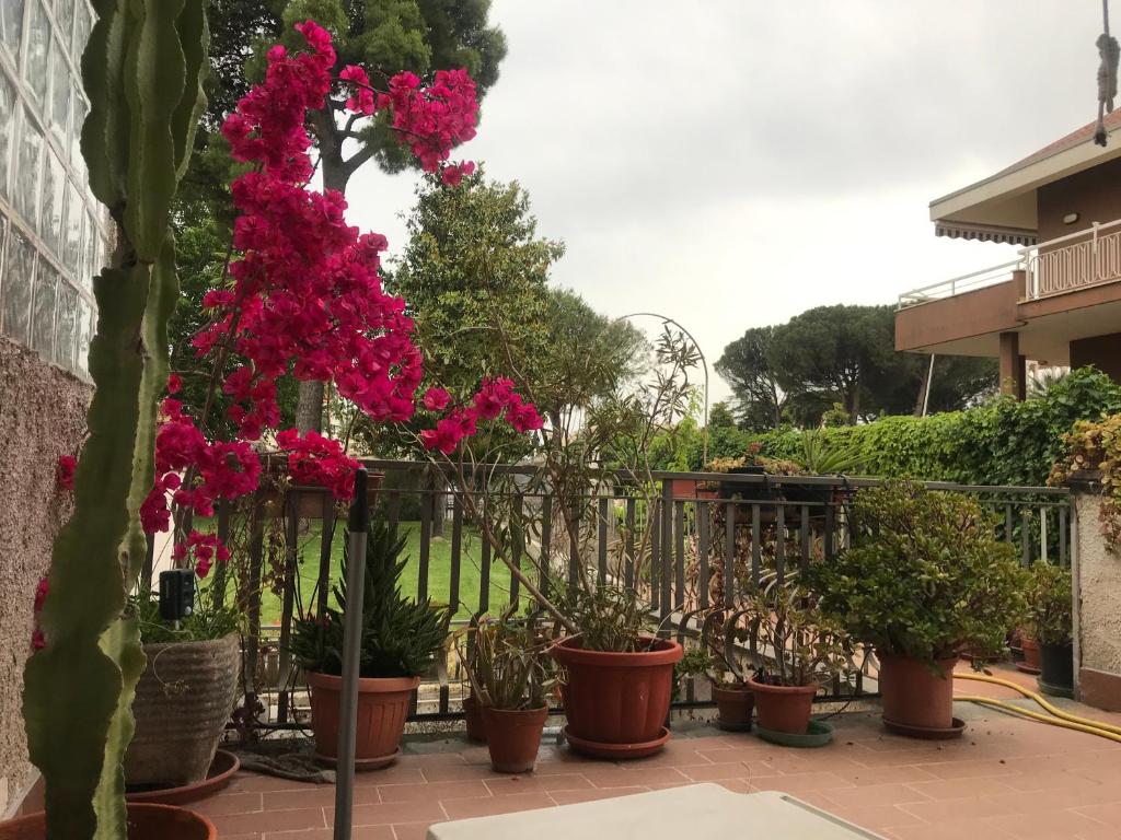 un groupe de plantes en pot et de fleurs sur un patio dans l'établissement Renata, à Formia