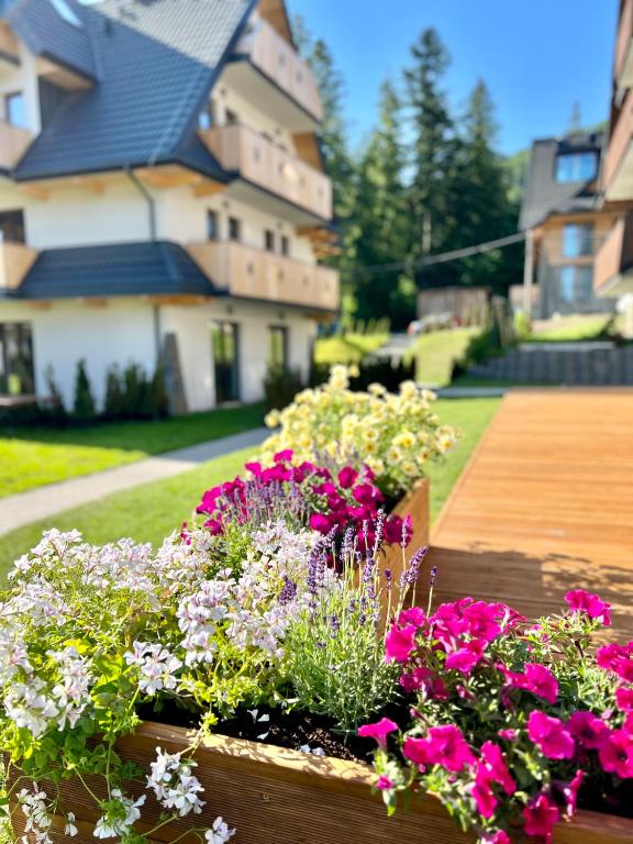 Nosal Ski & Wine Apartments - Resim 35