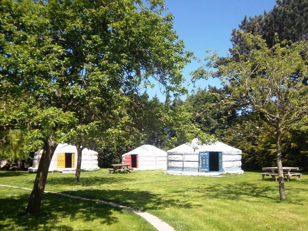 un groupe de tentes dans un champ arboré dans l'établissement Rando-Yourte, à Paluel