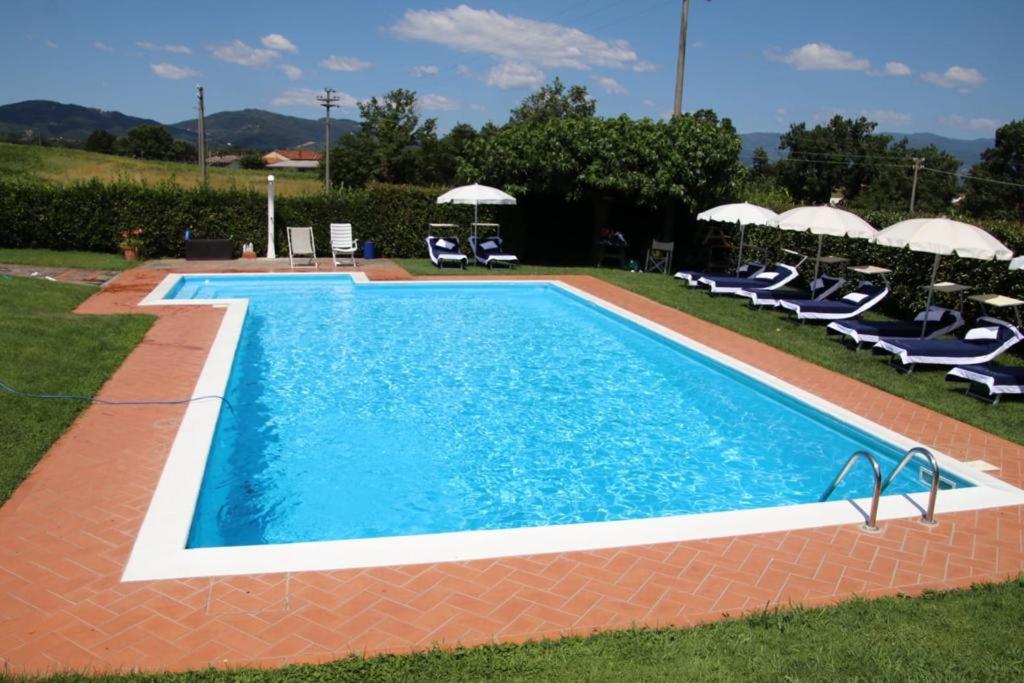 a large swimming pool with chairs and umbrellas at Corte Vettori in Quarrata