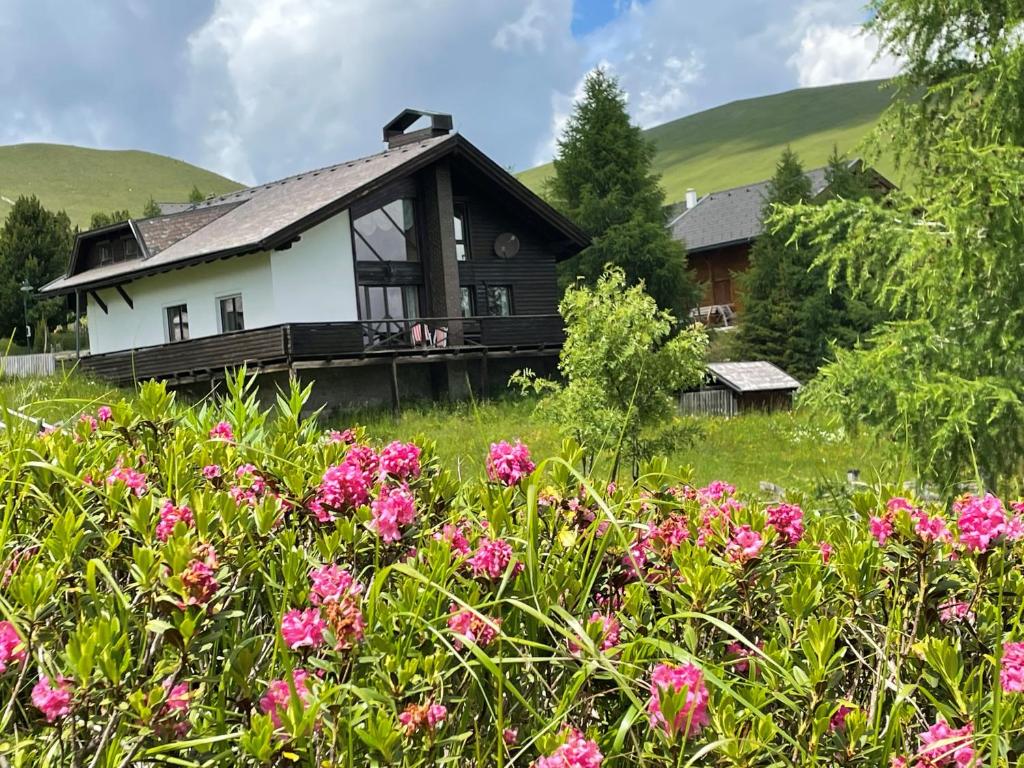 a house with pink flowers in front of it at Heidi-Alm Lodge in Falkertsee