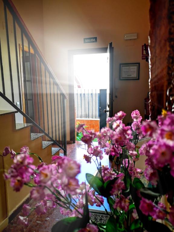Fotografie z fotogalerie ubytování Casa Maria v destinaci Olivenza