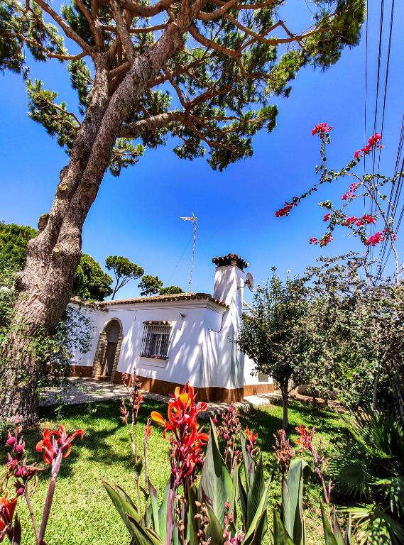 Zahrada ubytování Casa del Tucán