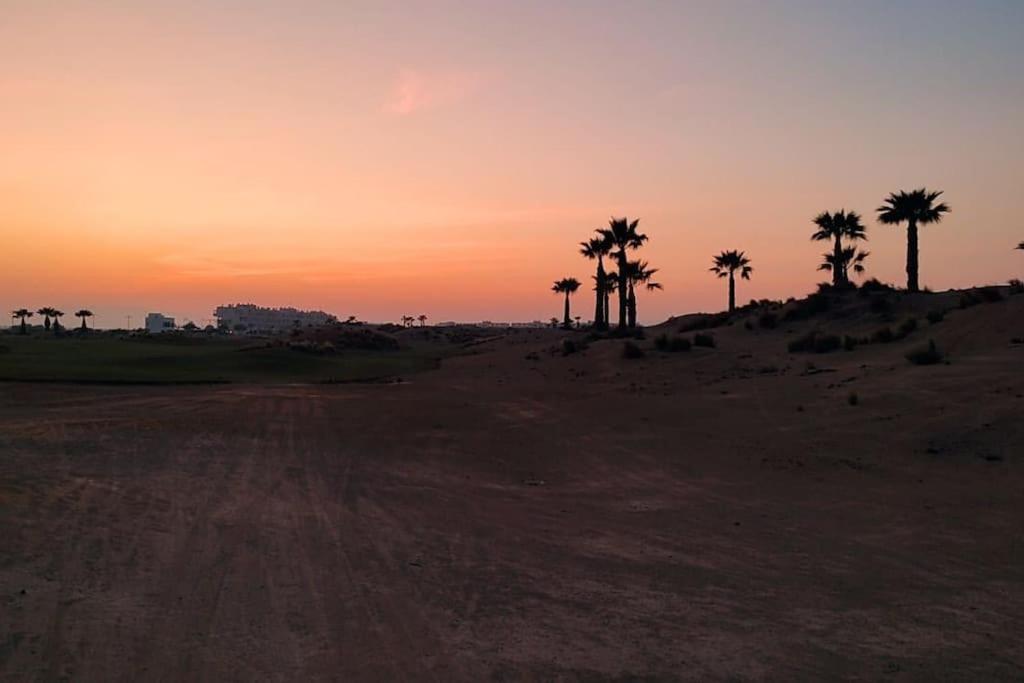 a dirt road in the desert with palm trees at Appartement op een toplocatie. in Las Pedreñas