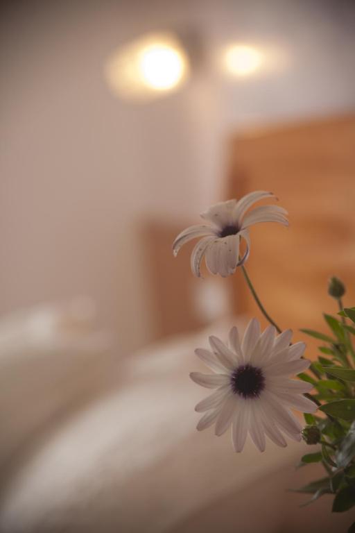 Hostal Mar de Frente - Single Room