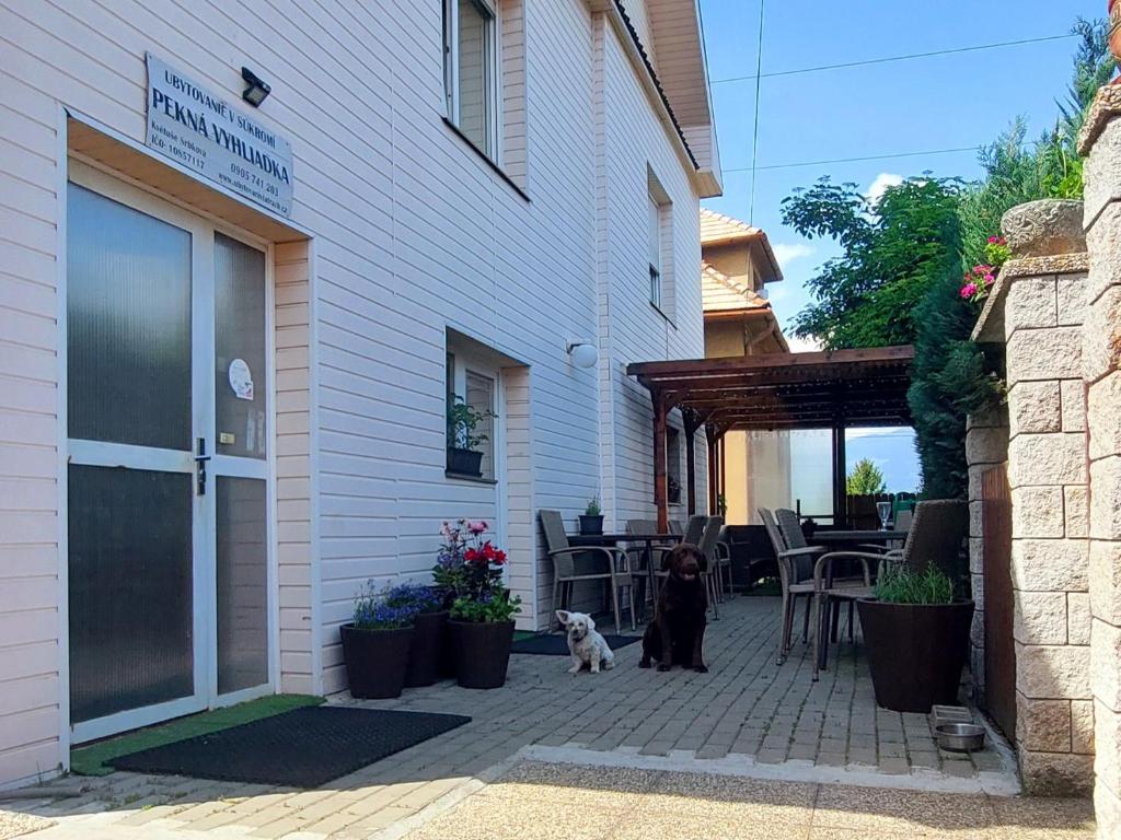 two dogs sitting on a patio next to a building at Pěkná Vyhlídka in Závažná Poruba