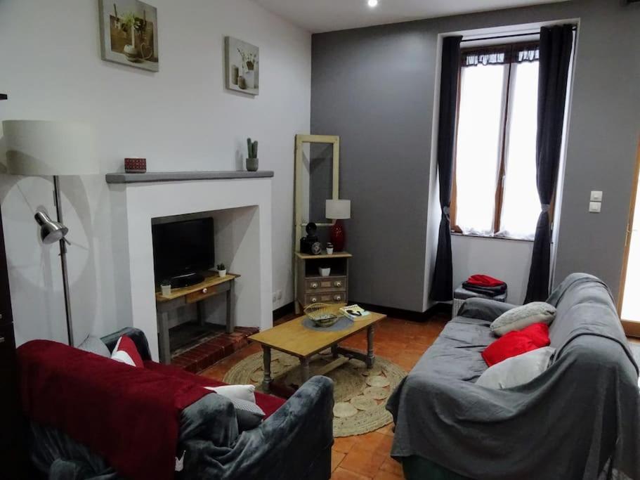 ein Wohnzimmer mit 2 Sofas und einem Kamin in der Unterkunft Chez Romain et Sylvine in Naintré