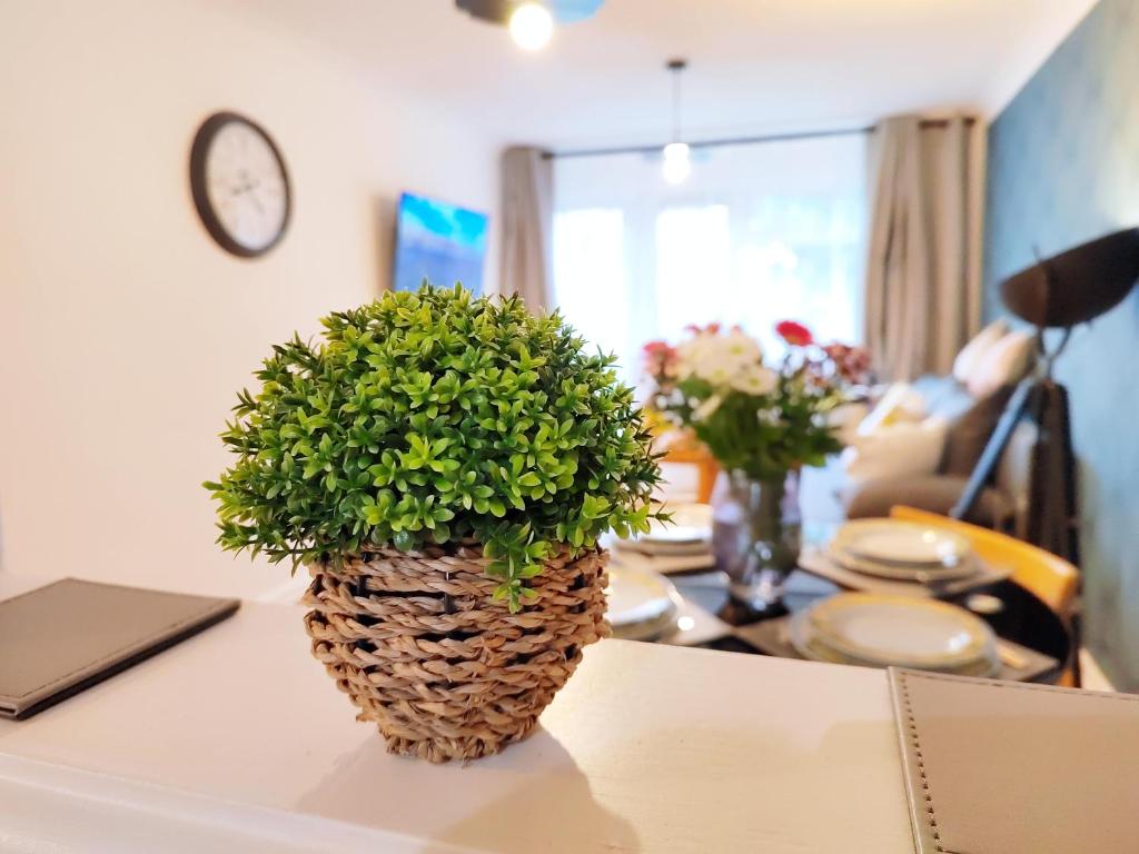 2 Single Beds, 1 BR Apartment 5