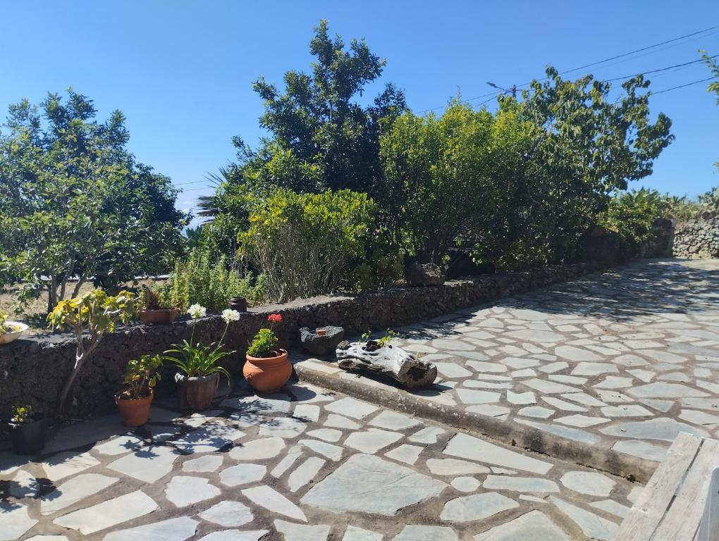 Zahrada ubytování Casa Rural Amapola