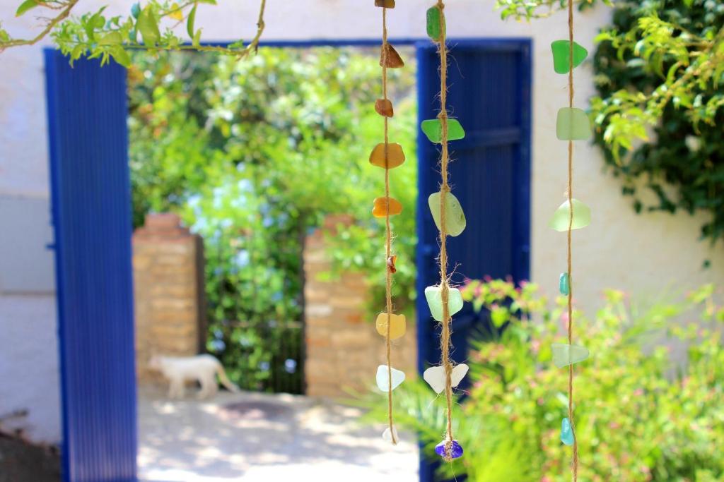 Vonkajšia záhrada v ubytovaní La Casita Azul - Casa típica andaluza