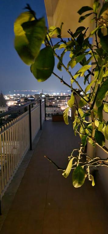 A balcony or terrace at Top Floor Aparthotel Bentivoglio