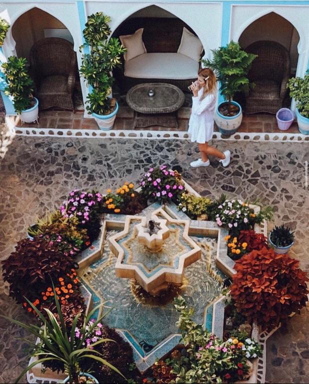 Um jardim no exterior de Riad Hicham