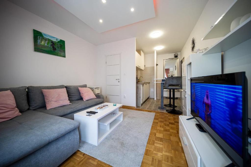 Μια τηλεόραση ή/και κέντρο ψυχαγωγίας στο Studio Apartment Rayyan