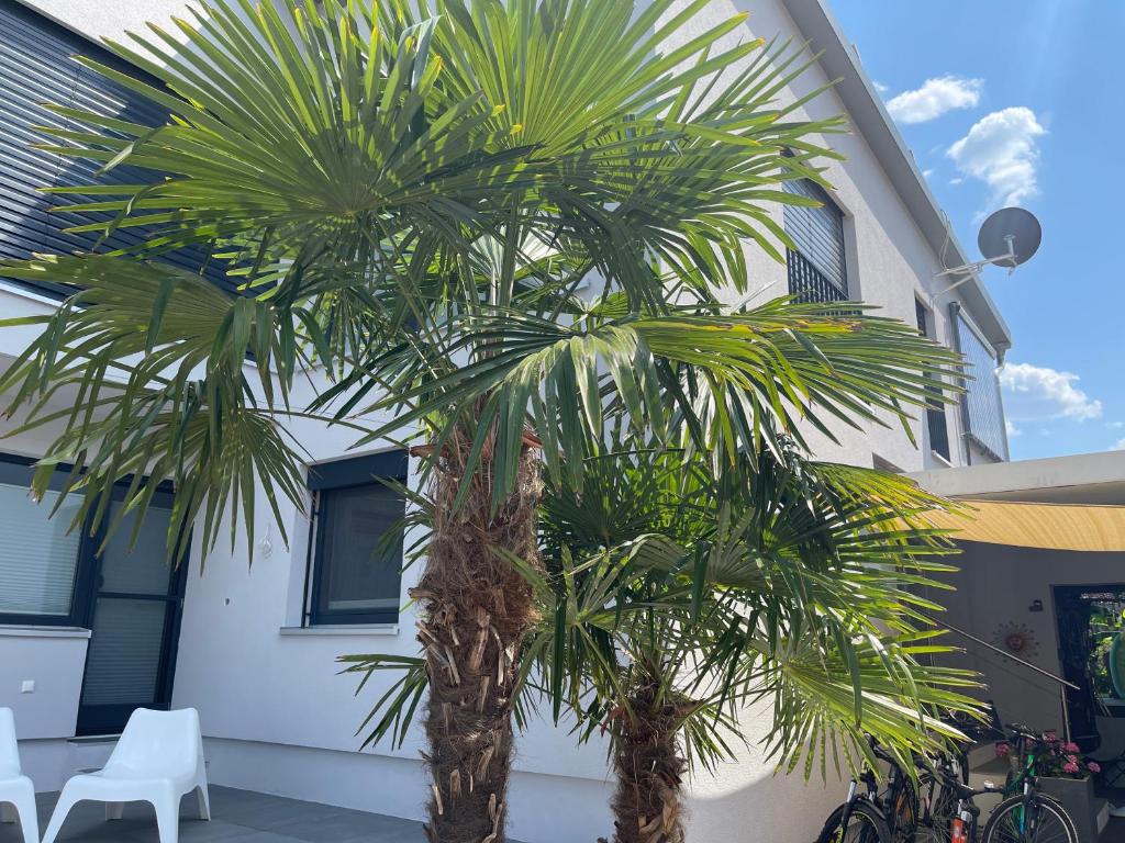 two palm trees in front of a building at Cal-ifornia Home 2 in Nuremberg