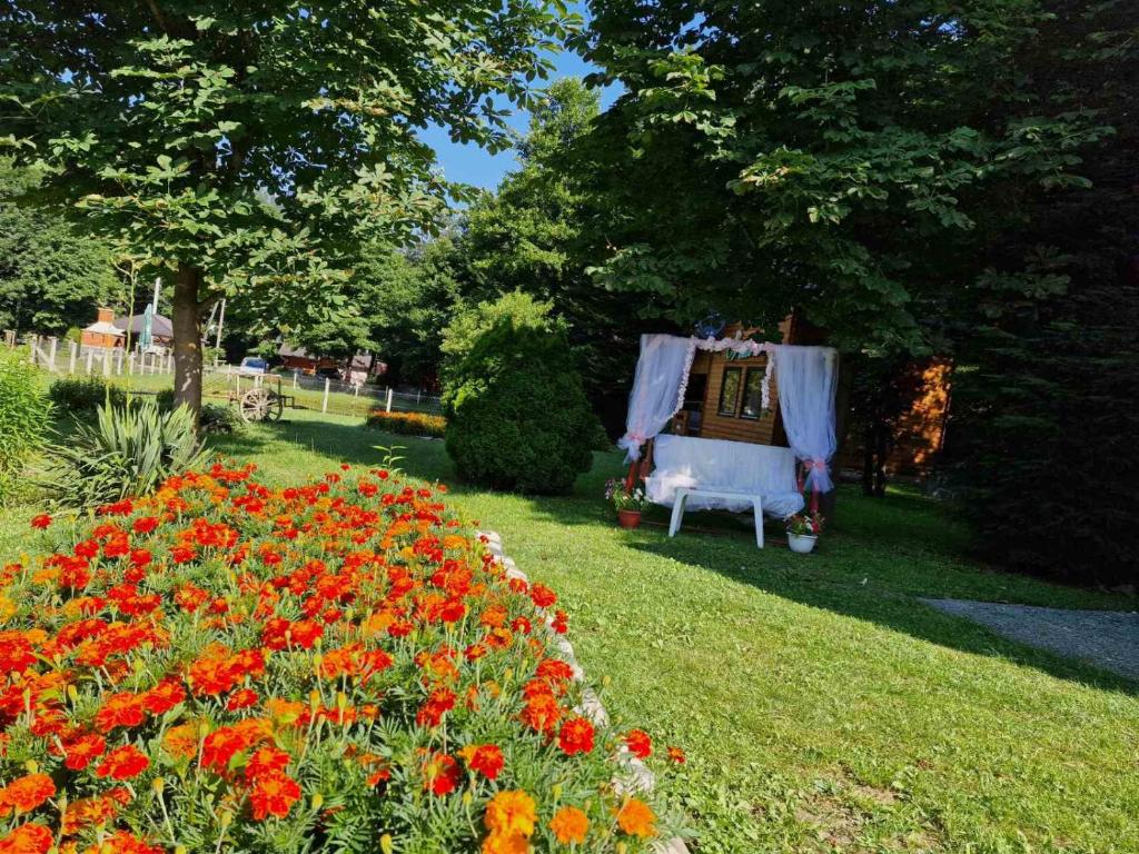 En tr&auml;dg&aring;rd utanf&ouml;r Bungalovi Menzil