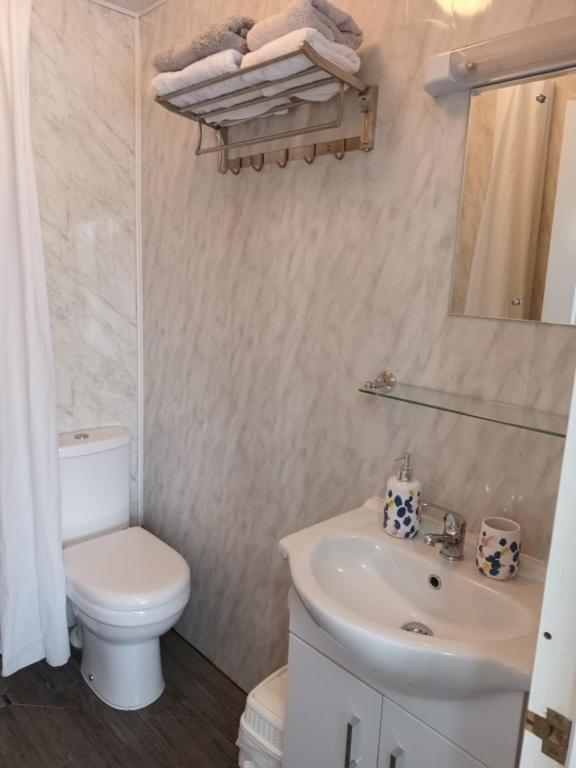 a bathroom with a white toilet and a sink at Kates Place Studio 1 in Donegal