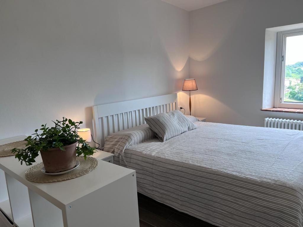 een witte slaapkamer met een bed en een potplant bij Il Gessetto di Monteverdi Marittimo, Borgo di Canneto in Canneto
