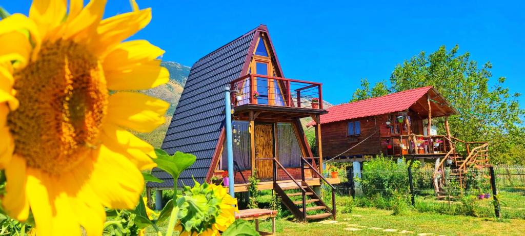 a sunflower next to a house with a sunflower at Life on the farm in Nepravishtë
