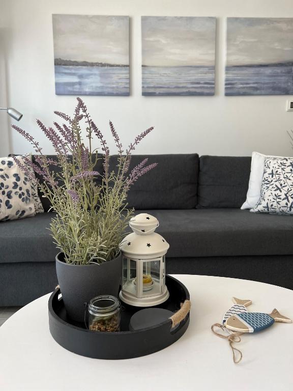 LuMax Apartment
