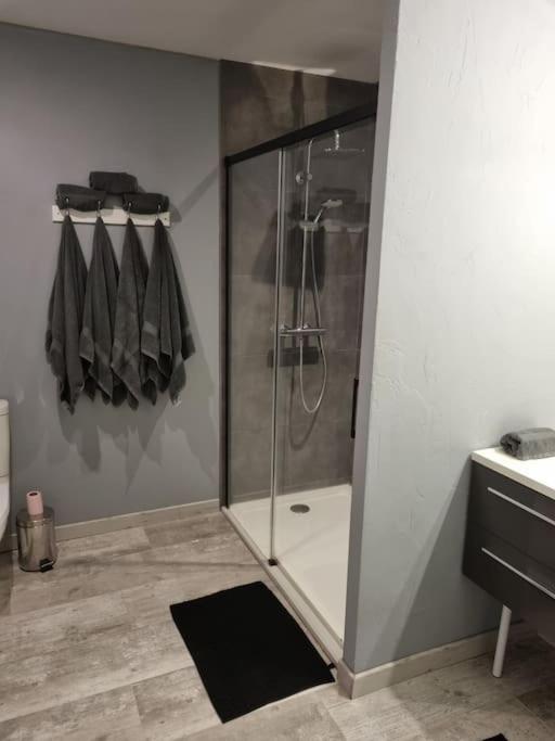a bathroom with a shower with a glass door at Grand appartement près de la Cathédrale de Quimper in Quimper