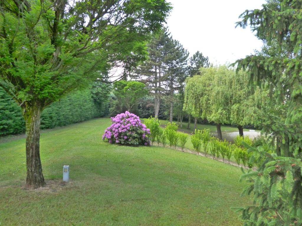 Zahrada ubytování Hôtel Vulcain