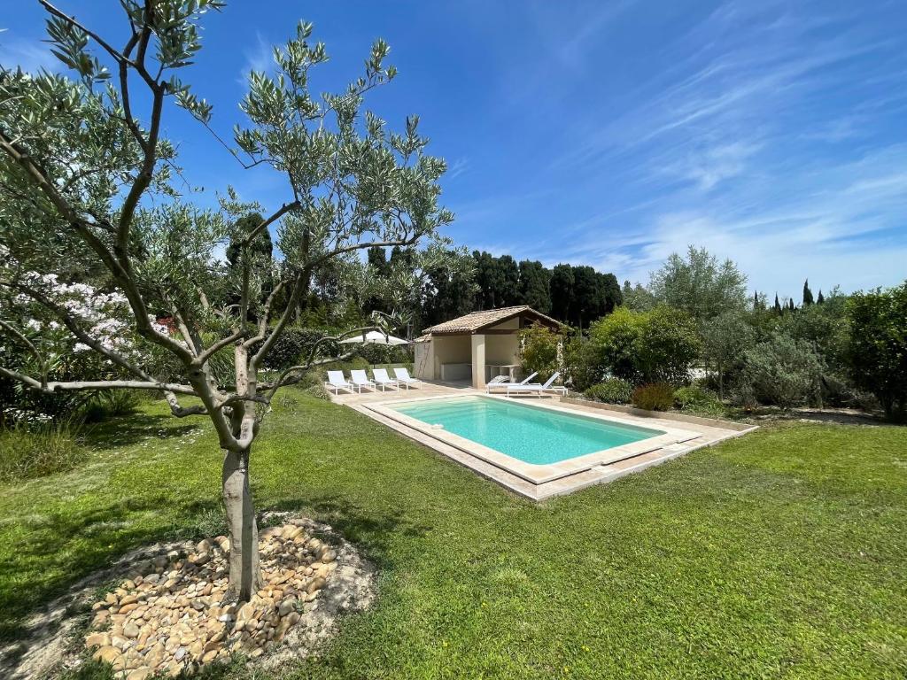una piscina en un patio con un árbol en Mas Millésime - Gîte Mourvèdre - 6 pers - Piscine privative - St Remy de Provence, en Mas blanc des Alpilles