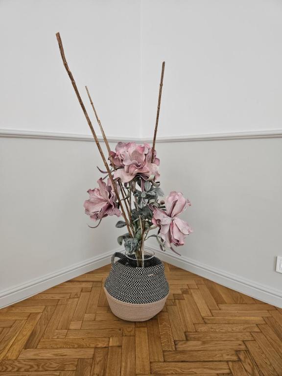 Apartament Sejmowa - 7