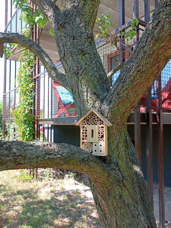 Budova, kde se apartmán nachází