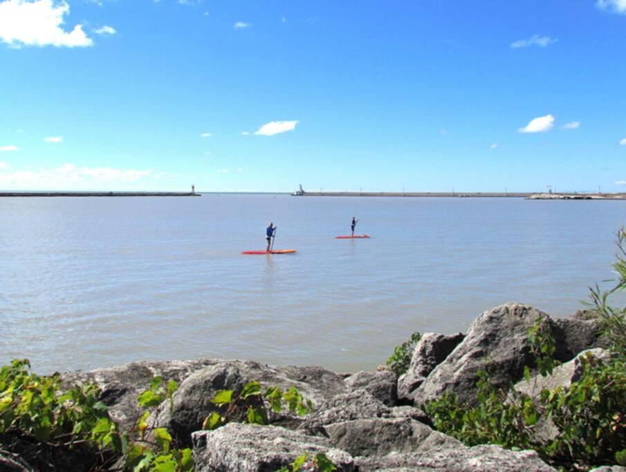 duas pessoas em pranchas de paddle na água em Hidden Treasure in the Heart of Port Stanley em Port Stanley