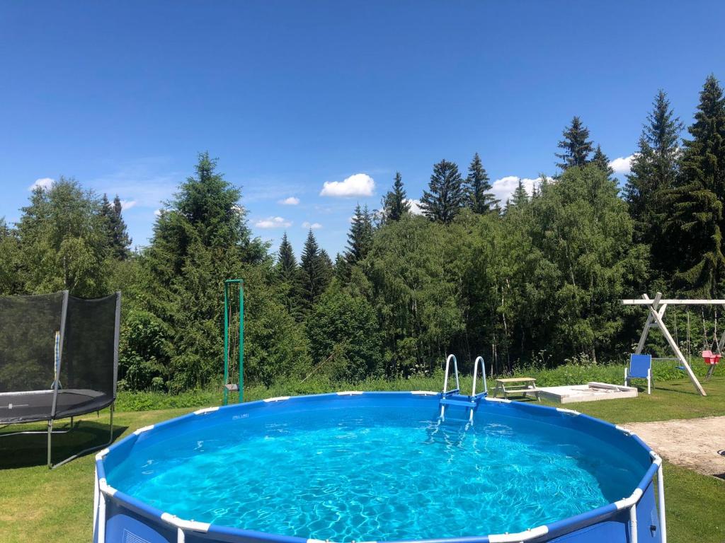 Bazén v ubytování Chata&Apartmán Nová Mýtina nebo v jeho okolí