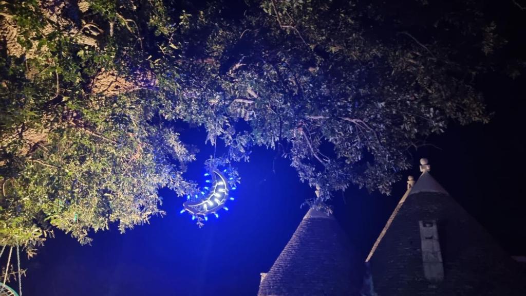 Zahrada ubytování Trulli Vulés