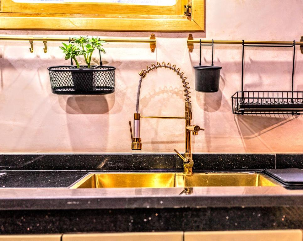 een gootsteen met twee potplanten aan de muur bij Old world charm, modern comfort in Chefchaouene