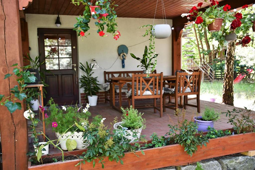 a patio with a table and chairs and plants at Charzykowska Chatka in Charzykowy