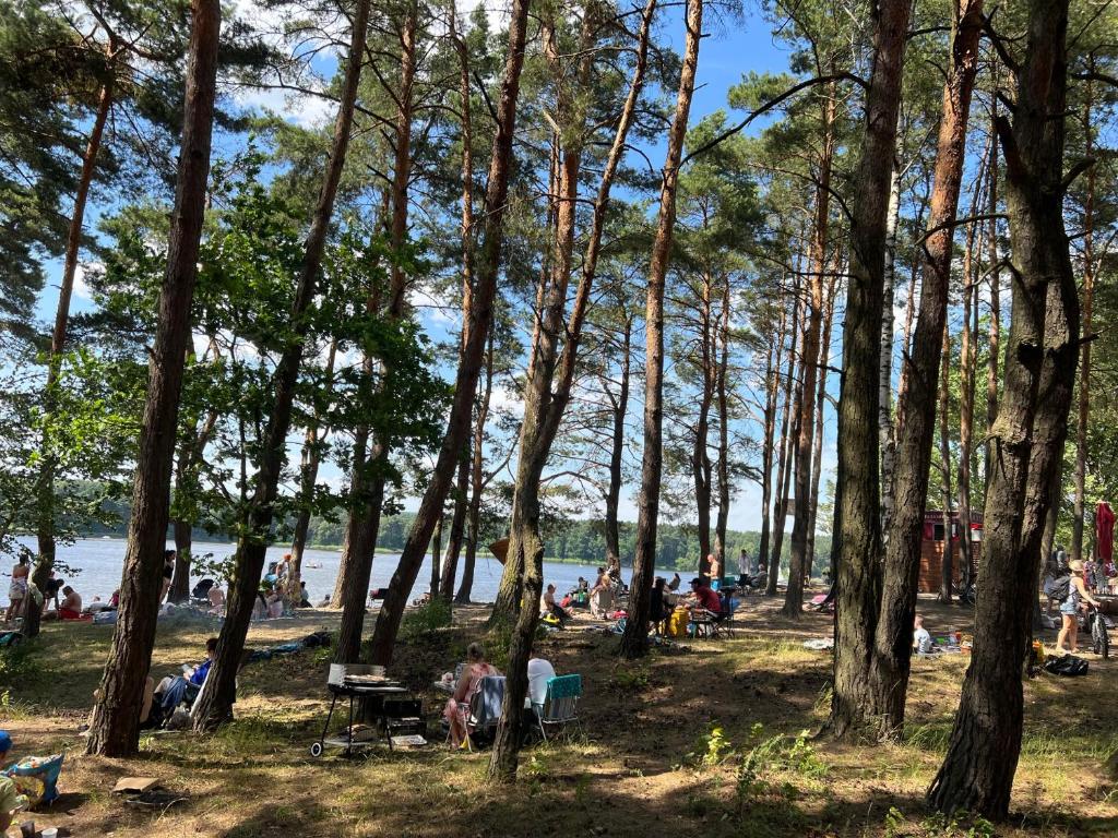 Příroda nedaleko apartmánu