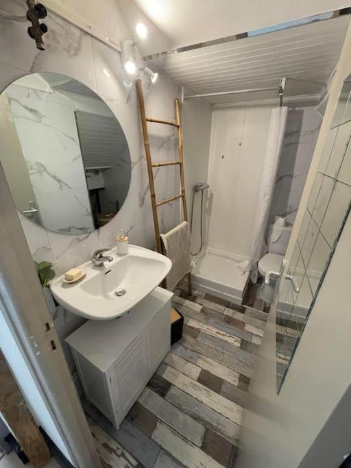 a bathroom with a sink and a mirror and a shower at Magnifique T1 Bis entièrement refait à neuf in Canet-en-Roussillon