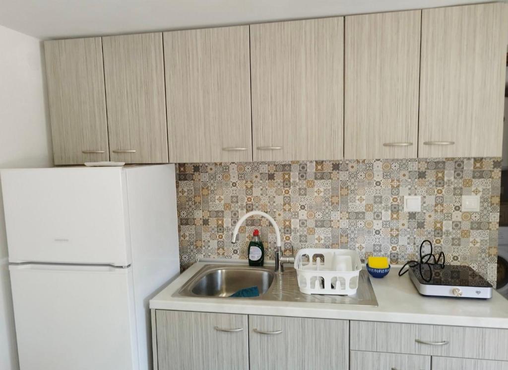 a kitchen with a sink and a white refrigerator at Elisavet Room Portiano in Pedhinón
