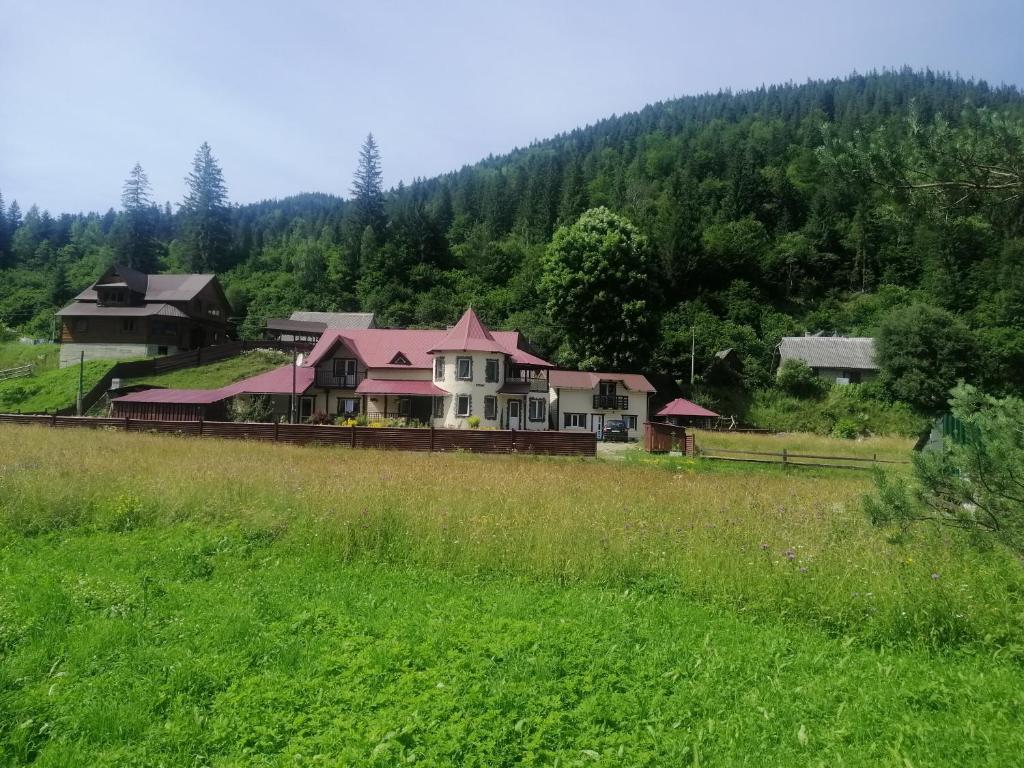 uma casa num campo ao lado de uma floresta em Гостинний двір у Ангеліни em Tatariv