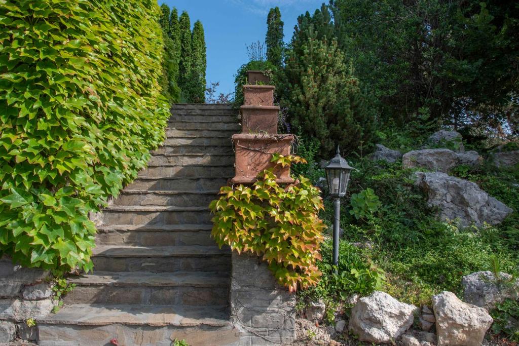 Fotografia z galérie ubytovania Kis Helikon Villa v destinácii Hévíz