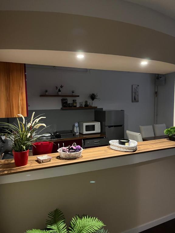 una cocina con una encimera con algunas plantas. en Apartment T&M Zagreb Airport, en Velika Gorica