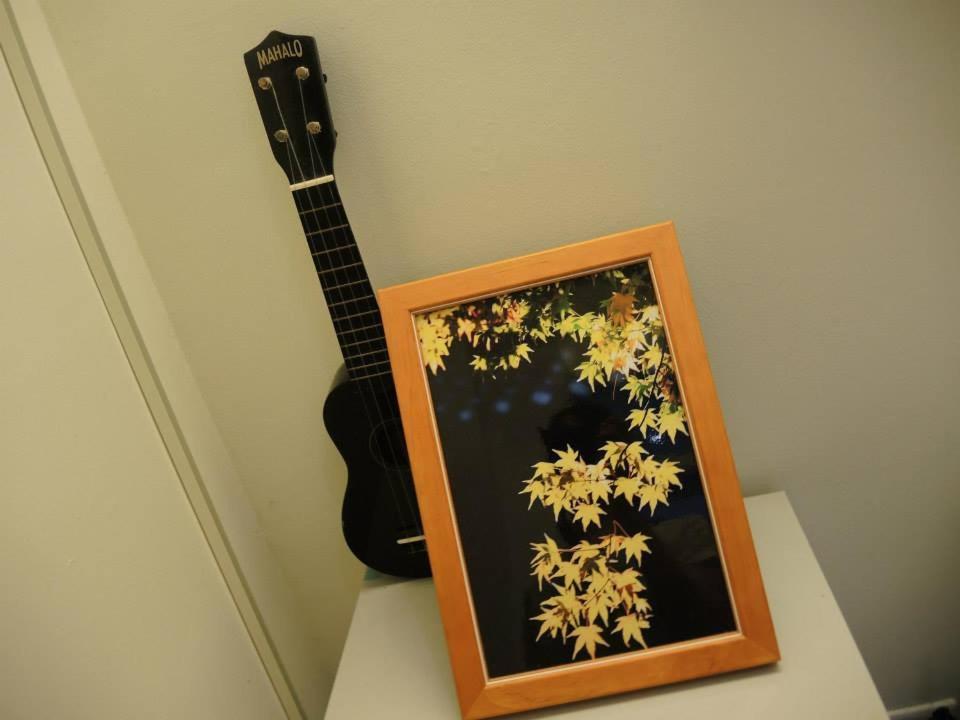 a picture of a guitar next to a picture of flowers at Xinchuan B&amp;B in Dayi