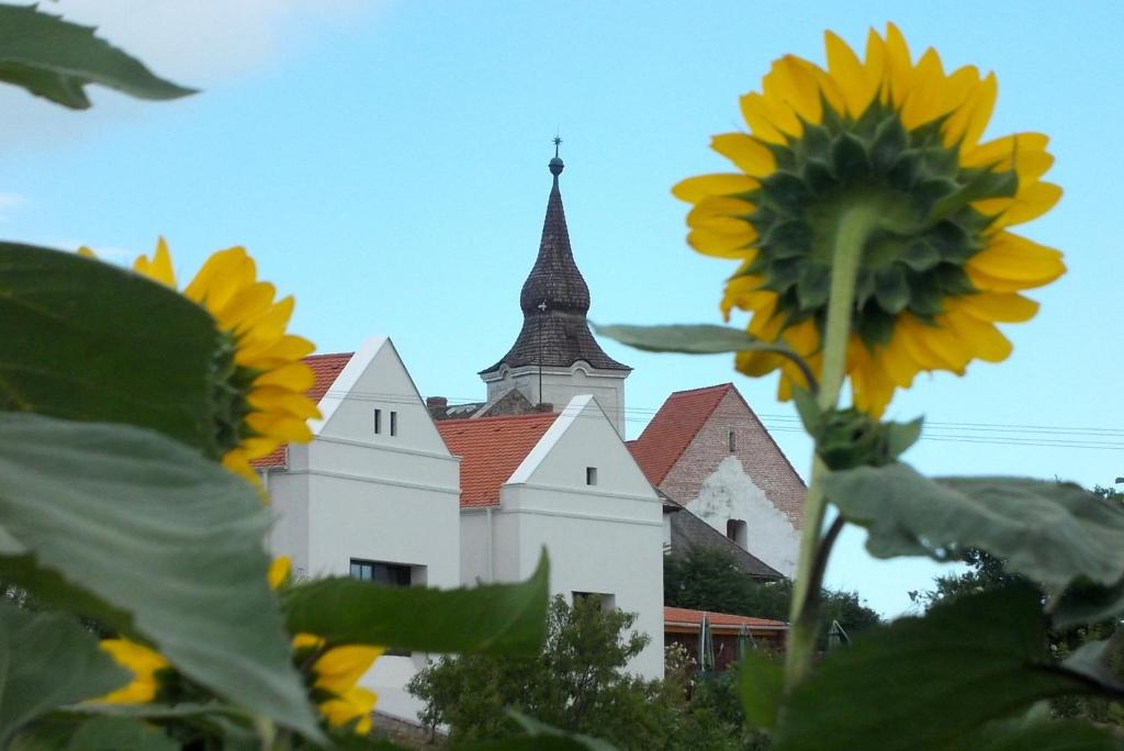 Fotografie z fotogalerie ubytování ZánKapu Szálláshely v destinaci Zánka