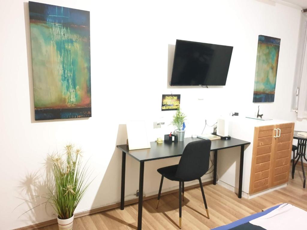 Televízia a/alebo spoločenská miestnosť v ubytovaní Green Apartman Salgótarján