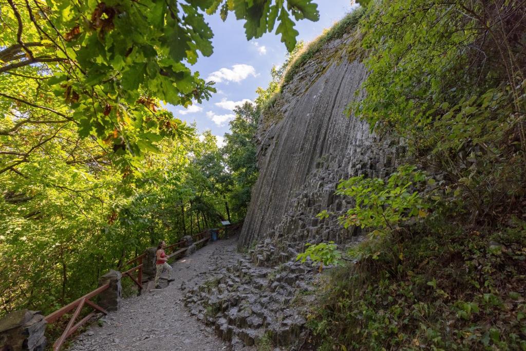 Príroda v okolí apartmánu