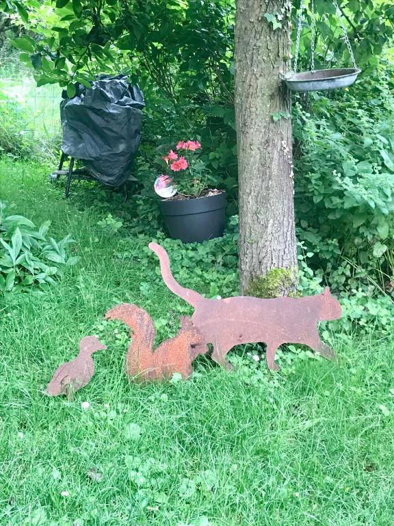 Fotografia z galérie ubytovania Maison au cœur du Parc Naturel de l'Avesnois v destinácii Choisies