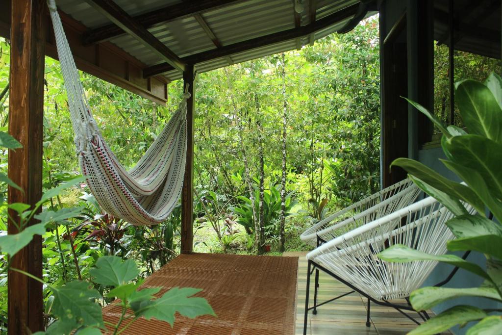 Zahrada ubytování Cecropia Ecolodge